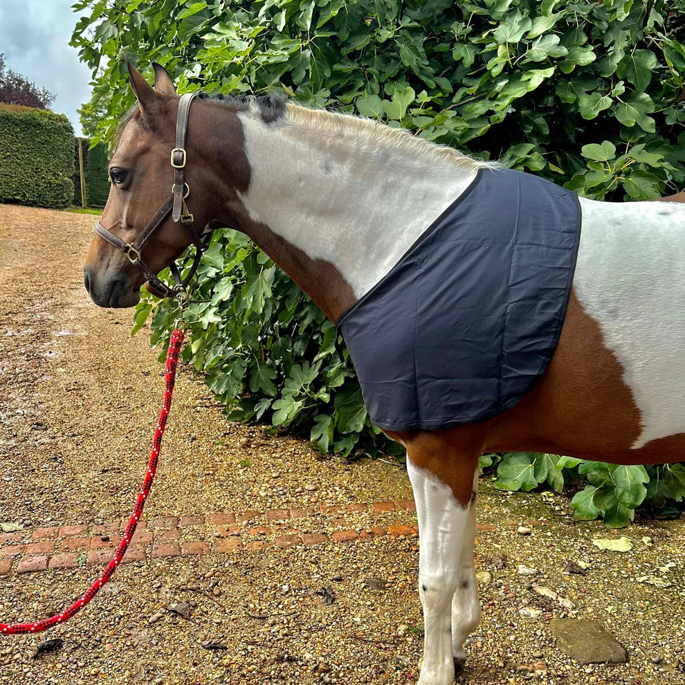 Snuggy Horse Shoulder Guard