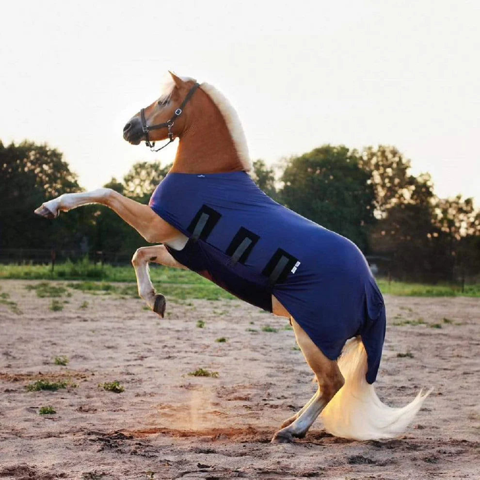 Lycra Body Rug