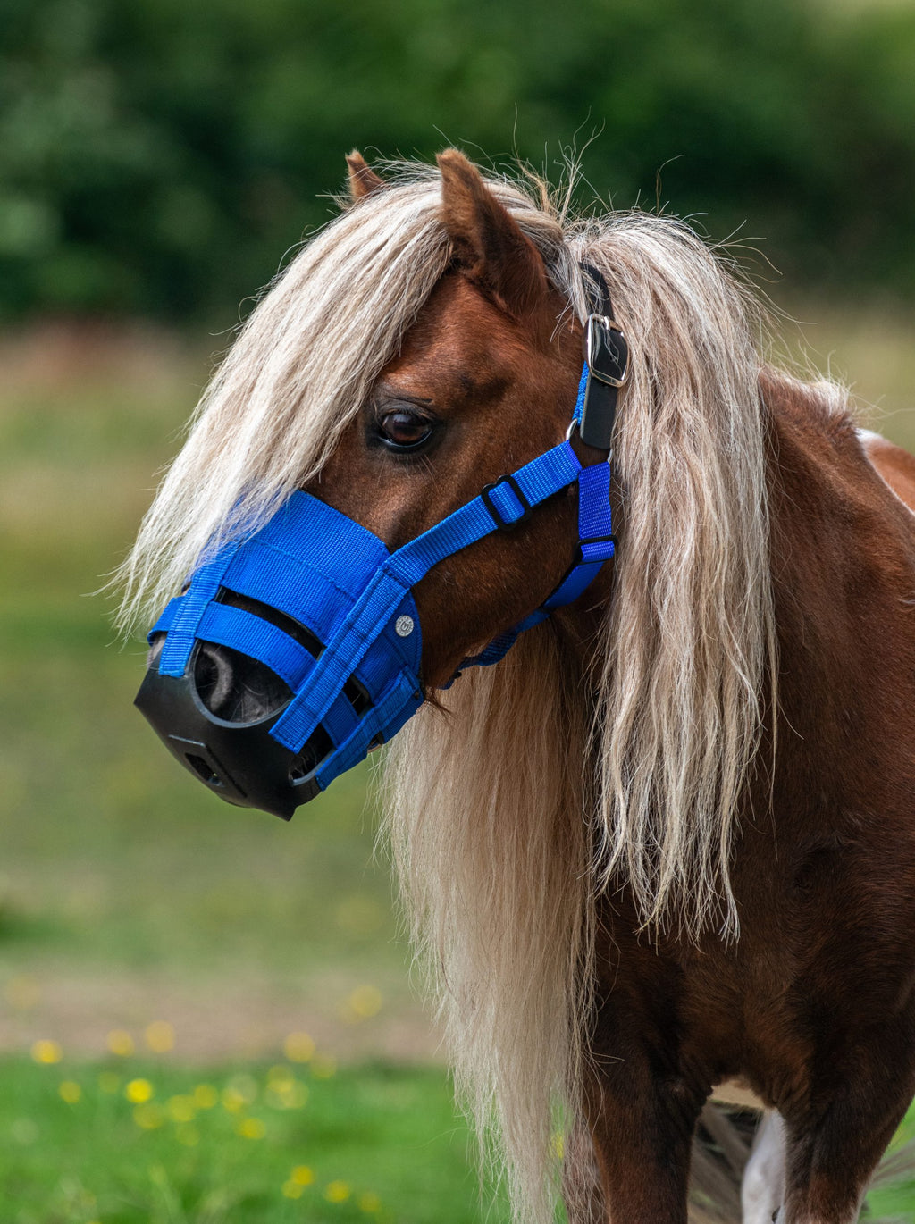 The Ultimate Muzzle