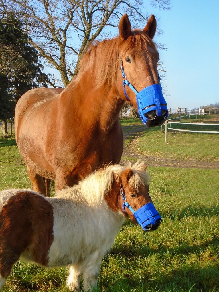 The Ultimate Muzzle