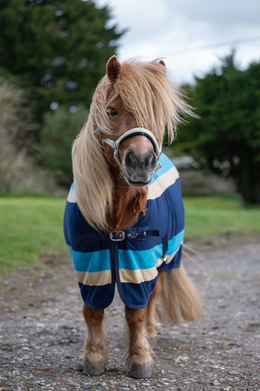 Rhinegold Elite Fleece Rug - Now in 3'6 - 5'3