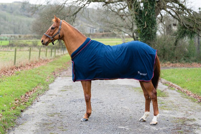 Rhinegold Comfy Collar Fleece Rug