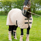 Supreme Products Dotty Headcollar with lead rope