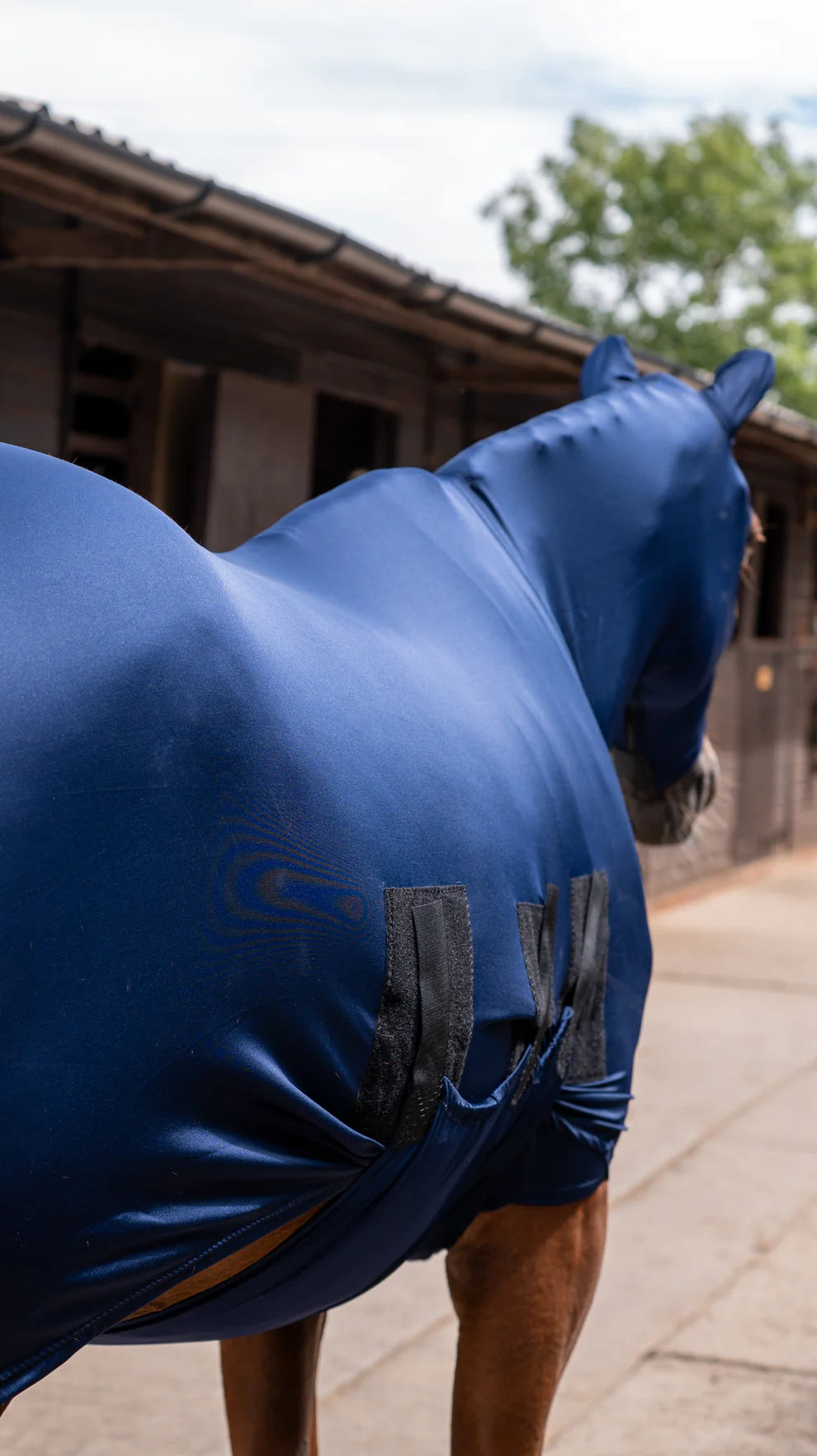 Lycra Body Rug