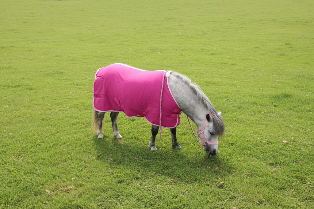 New Ponie Jersey Cooler Rug Pink
