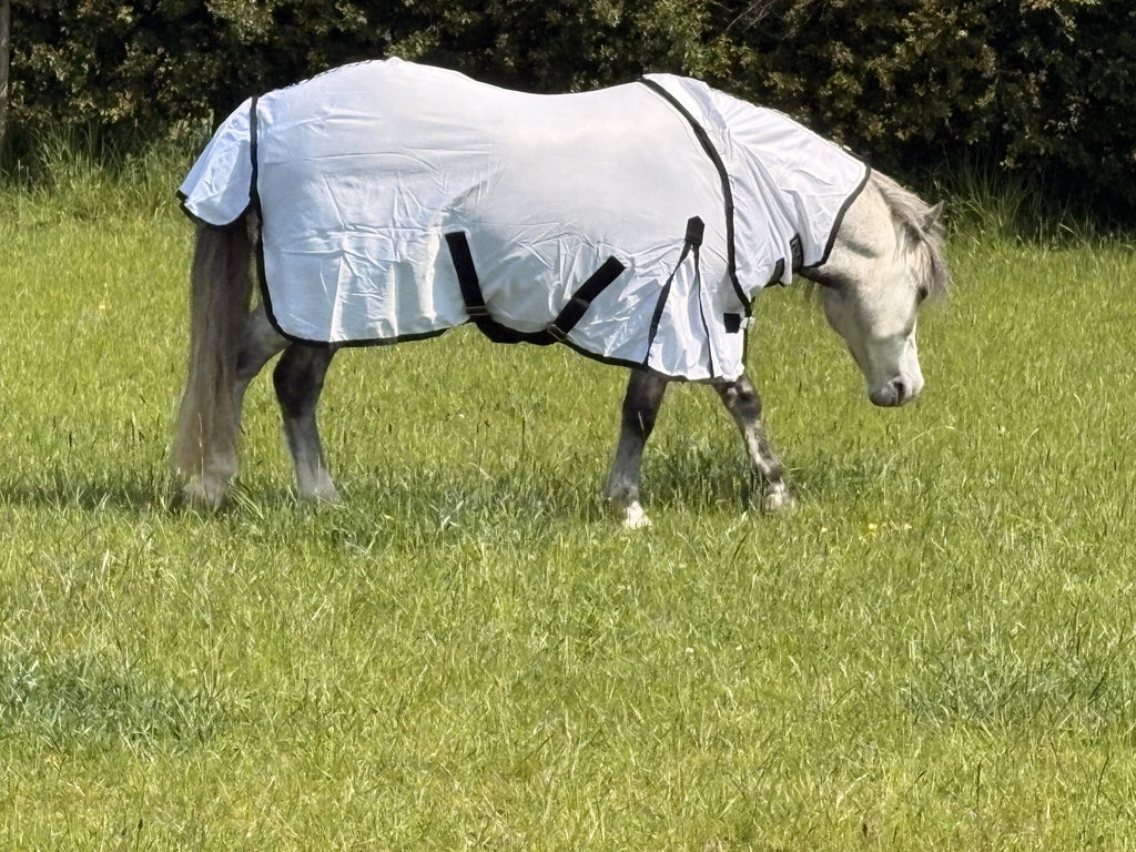 Ponie Dual 5-Point Fly Rug & Neck Set