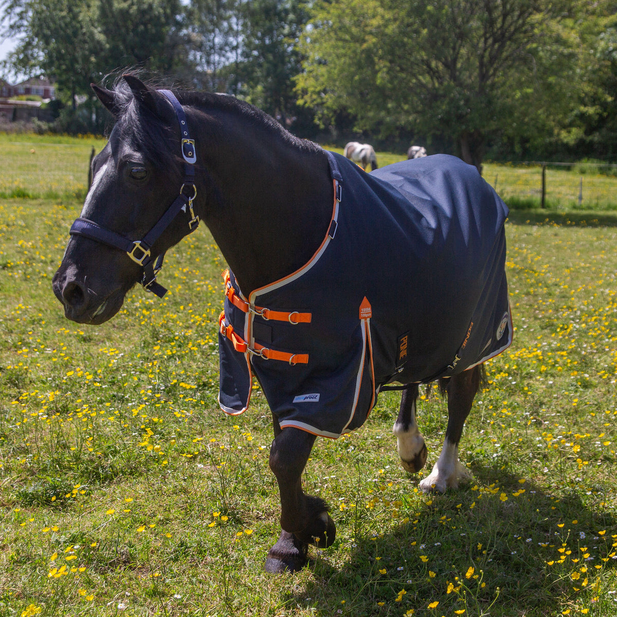 PONIE Xtra Duraproof 100g Turnout