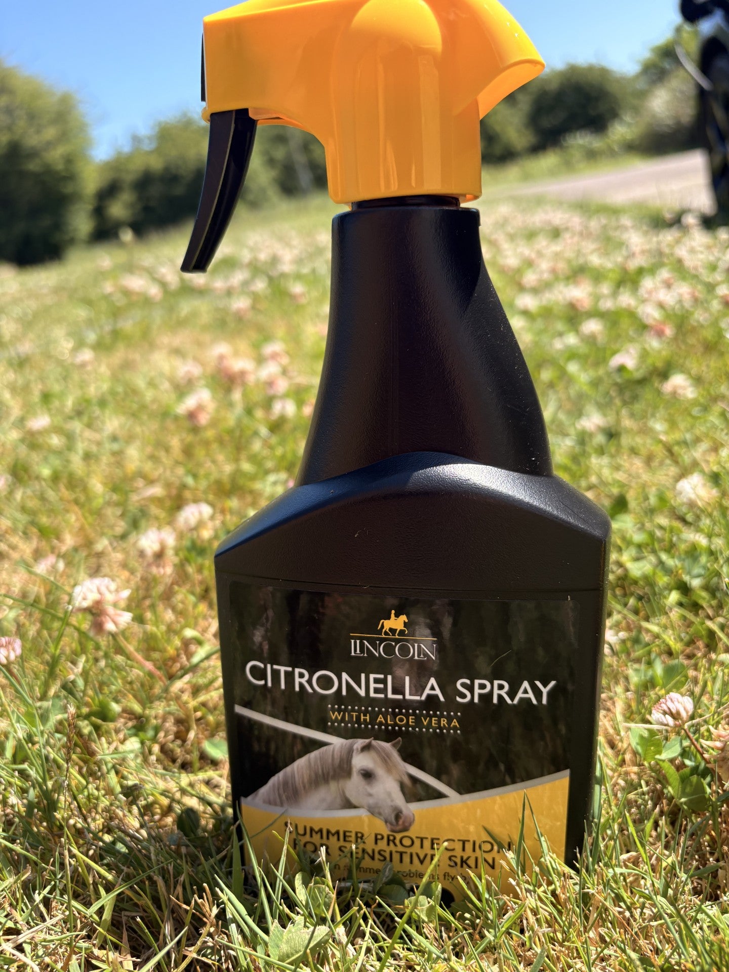 Lincoln Citronella spray with Aloe Vera