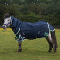 PONIE Duraproof combo turnout - 0g