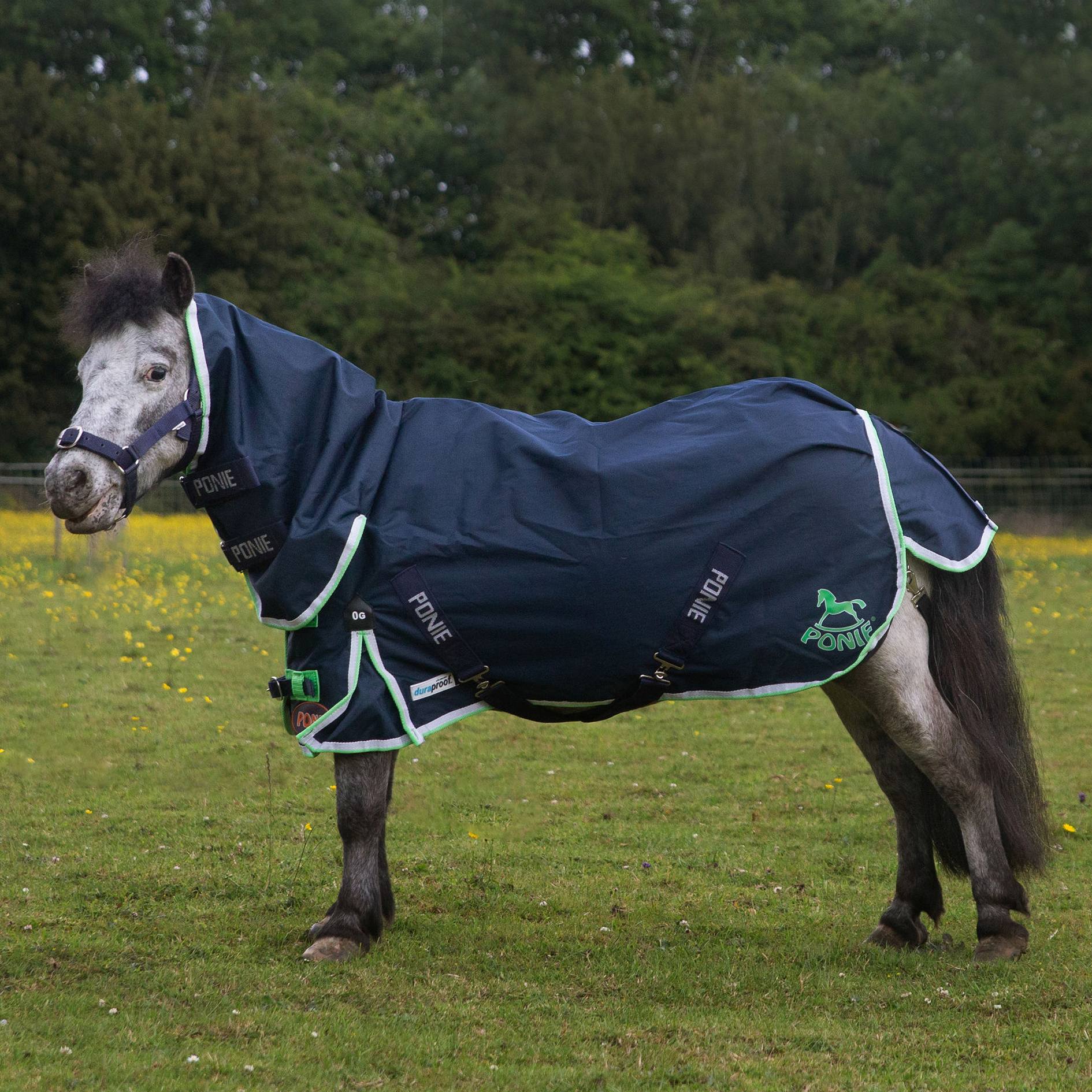 PONIE Duraproof combo turnout - 0g