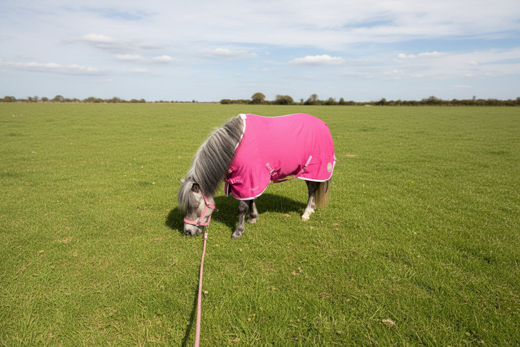 New Ponie Jersey Cooler Rug Pink