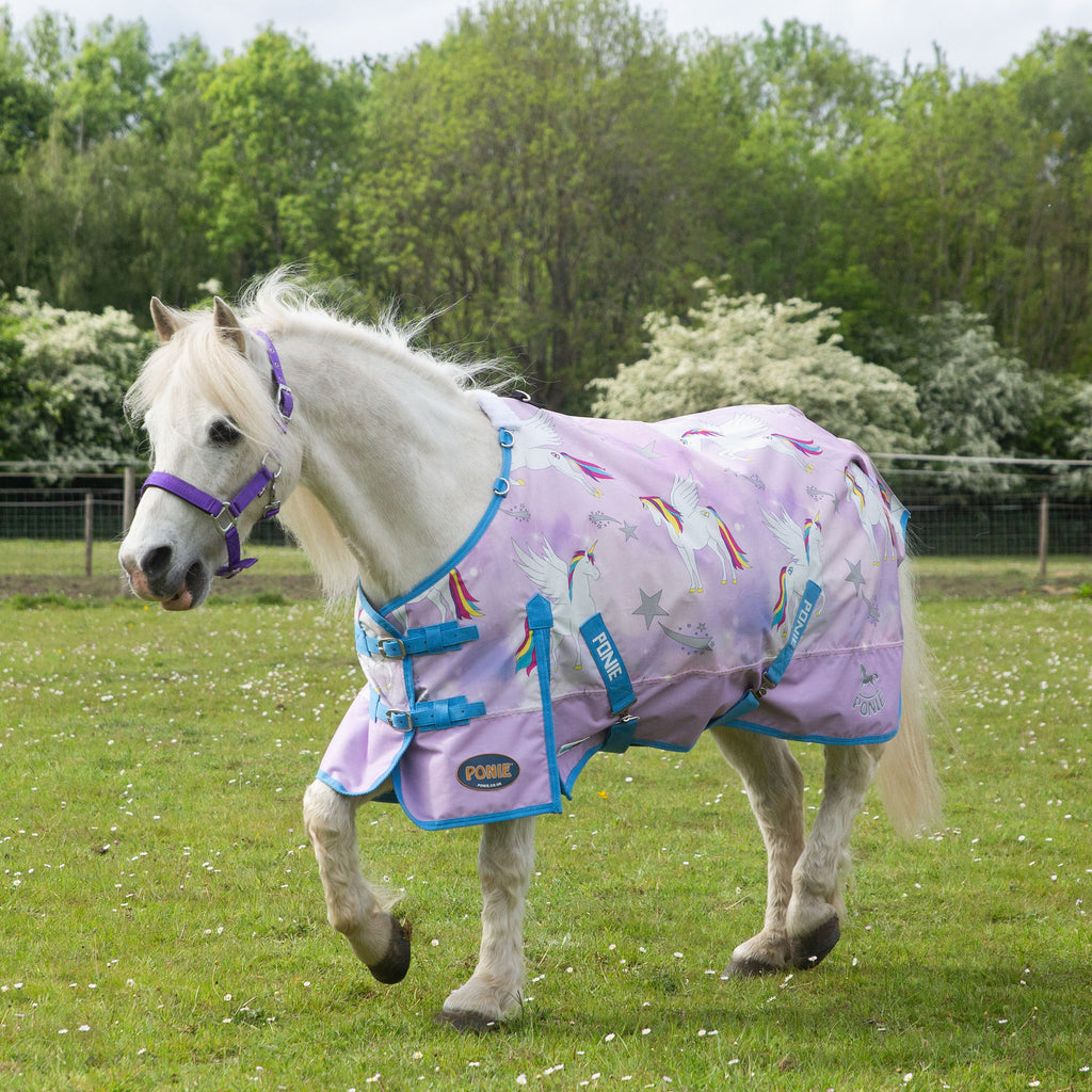 🦄 Gallop Ponie Duraproof Pegacorn Turnout - NOW from 3'6