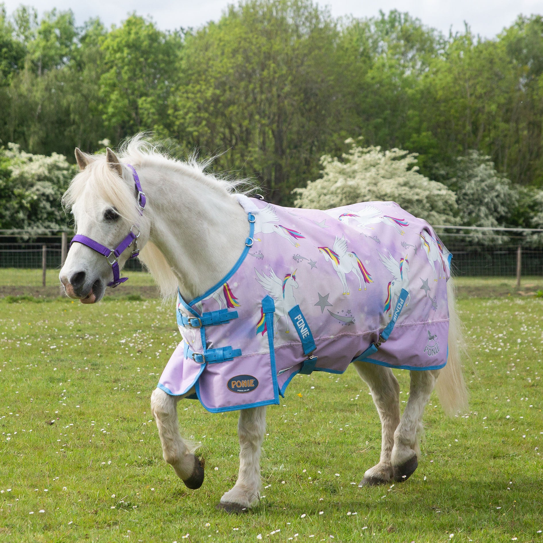 🦄 Gallop Ponie Duraproof Pegacorn Turnout - NOW from 3'6