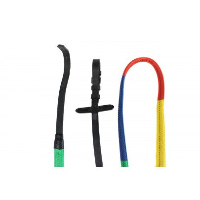 Rainbow Reins